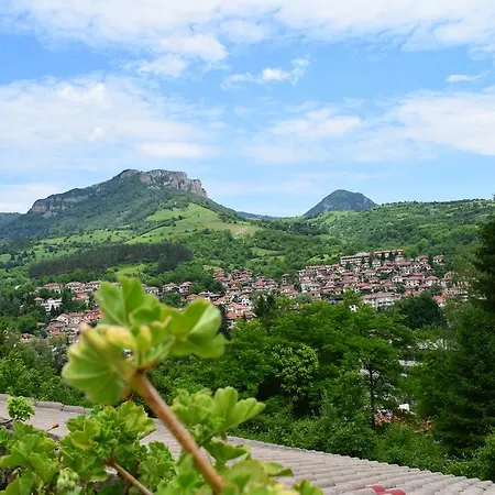 Hotel Zdravets 2*